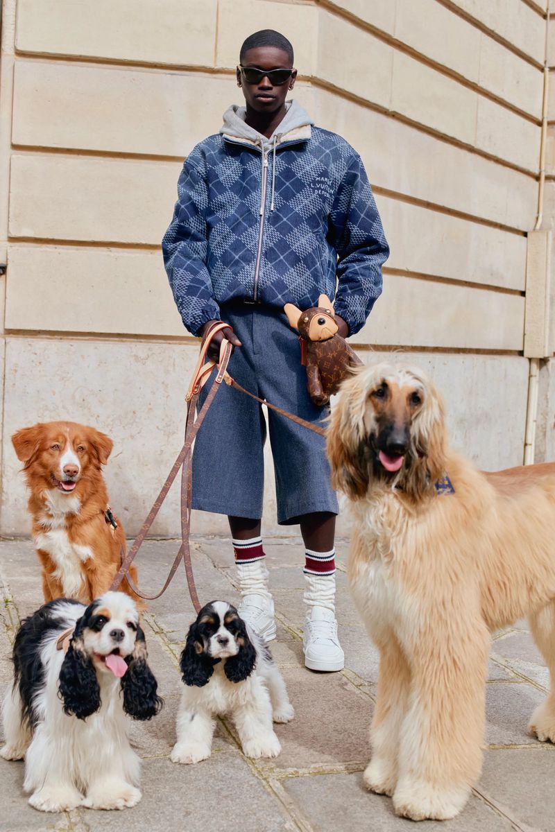 A stylish Black man poses with an assortment of dogs on leashes outdoors, wearing a patterned jacket, shorts, sneakers, and sunglasses.