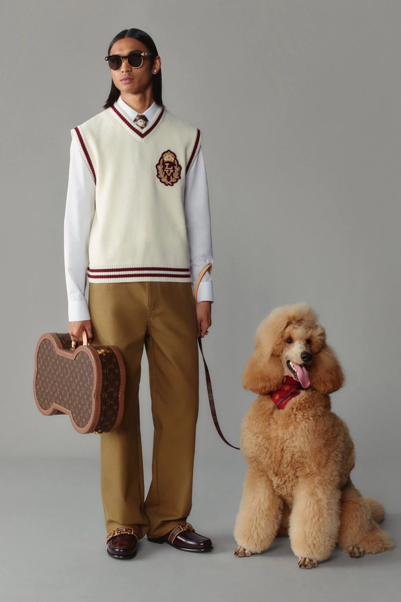 Stylish man in sweater vest poses with a groomed poodle and patterned luggage. Neutral background. Classic fashion, pet ownership.