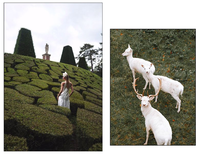 Woman in white dress stands in manicured garden. Three white deer stand on grassy lawn. Outdoor photography. 