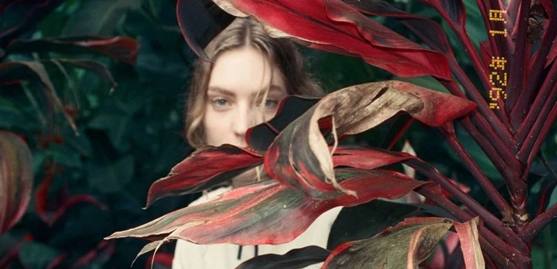 Portrait of a young woman partially obscured by leafy red plants, with green foliage visible in the background, creating a natural, close-up view.