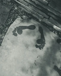 Wet footprints marked onto a pale stone slab beside a low rock wall in an overhead outdoor shot.