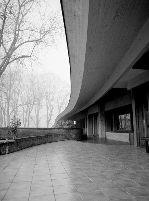 Monochrome architectural shot of a curving concrete building, textured tile terrace, and trees in the background with foggy conditions.