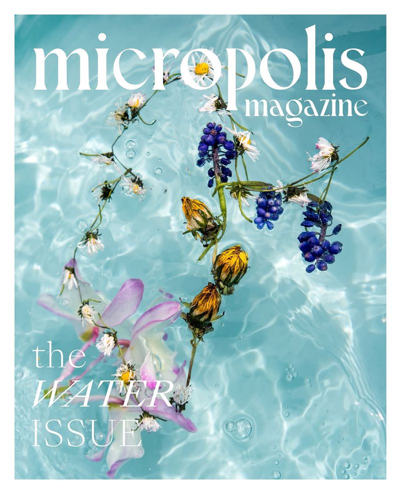 Magazine cover featuring flowers in clear water with the title 'micropolis magazine, the water issue' in white font.