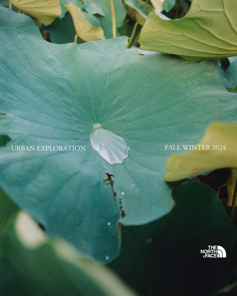 Close-up of a lotus leaf with a water droplet, showcasing natural textures and light, alongside The North Face logo and text, 'Urban Exploration'.