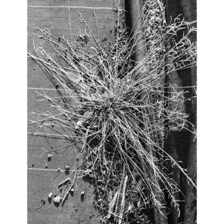 Monochromatic still life featuring a central cluster of bare twigs atop a textured surface, accented by scattered debris and subtle outdoor light.