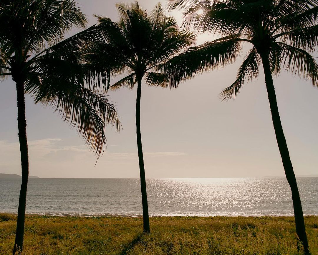 Three tall palm trees silhouetted against a bright sunlit ocean and sandy beach, photographed by Saskia Wilson for Ardo Hotel.