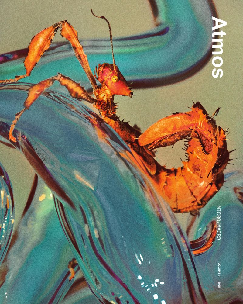 Macro photograph of a spiny flower mantis perched on a translucent, textured surface, with magazine title Atmos visible in the background.