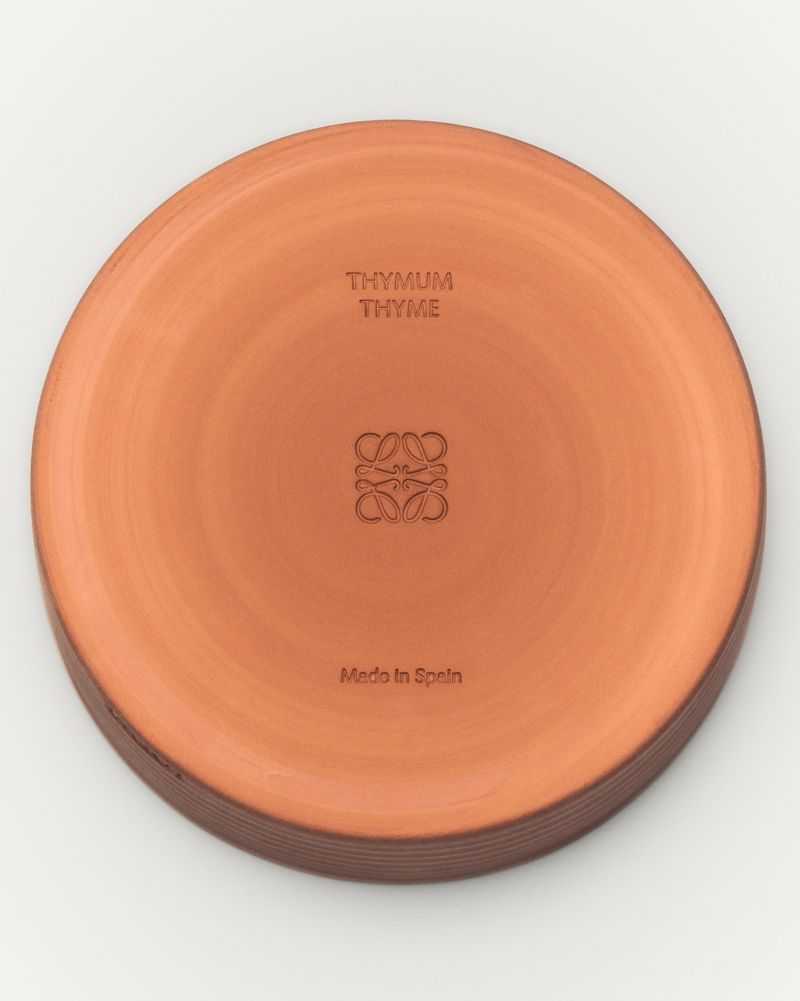 Terracotta plate features a smooth, circular design, subtly textured surface, and a central logo. Set against a white background.
