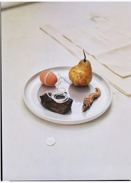 Still life of a pear, egg, stone, and other objects arranged on a plate against a minimalist white background, soft, diffused lighting.