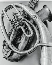 Black and white close-up of vintage brass wind instruments with intricate tubing, valves, and keys against a neutral surface.