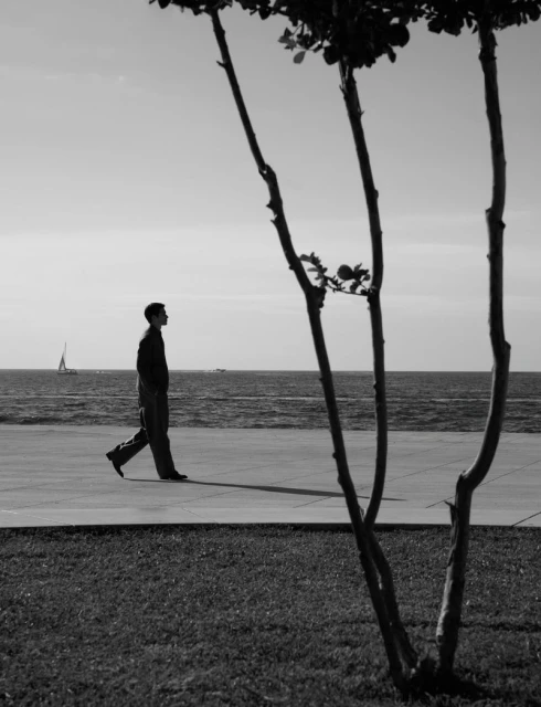 A man walks along a concrete path by the ocean on a sunny day, framed by branches in the foreground, in black and white.