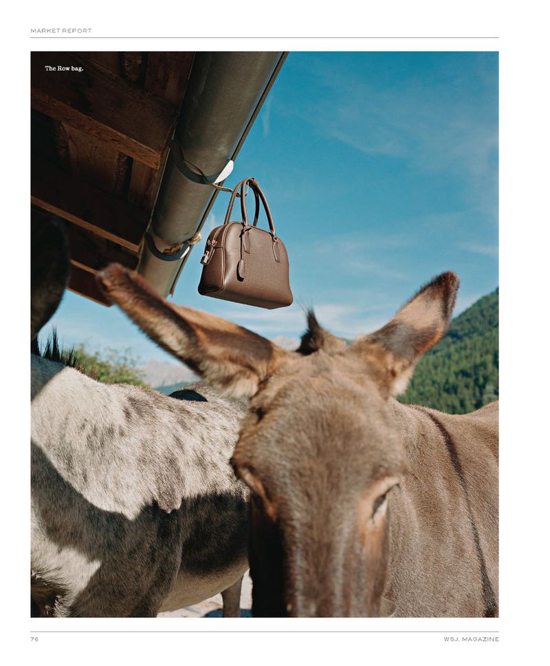 A brown purse hangs from a drainpipe in front of two donkeys under a bright sky with distant mountain views. 