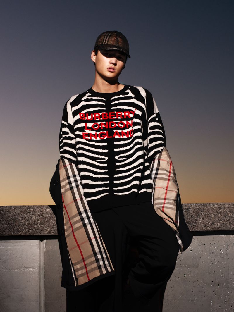 Young adult in Burberry zebra-striped sweater and cap poses against a gradient grey sky, showcasing high-fashion apparel in soft light.