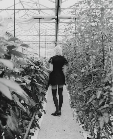Vilma Sjöberg seen from behind walking down a greenhouse aisle wearing a black mini dress and knee-high socks in black and white.