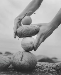 Close-up in black and white of hands carefully balancing a stack of smooth stones, a melon, and a tomato on a rocky coast.