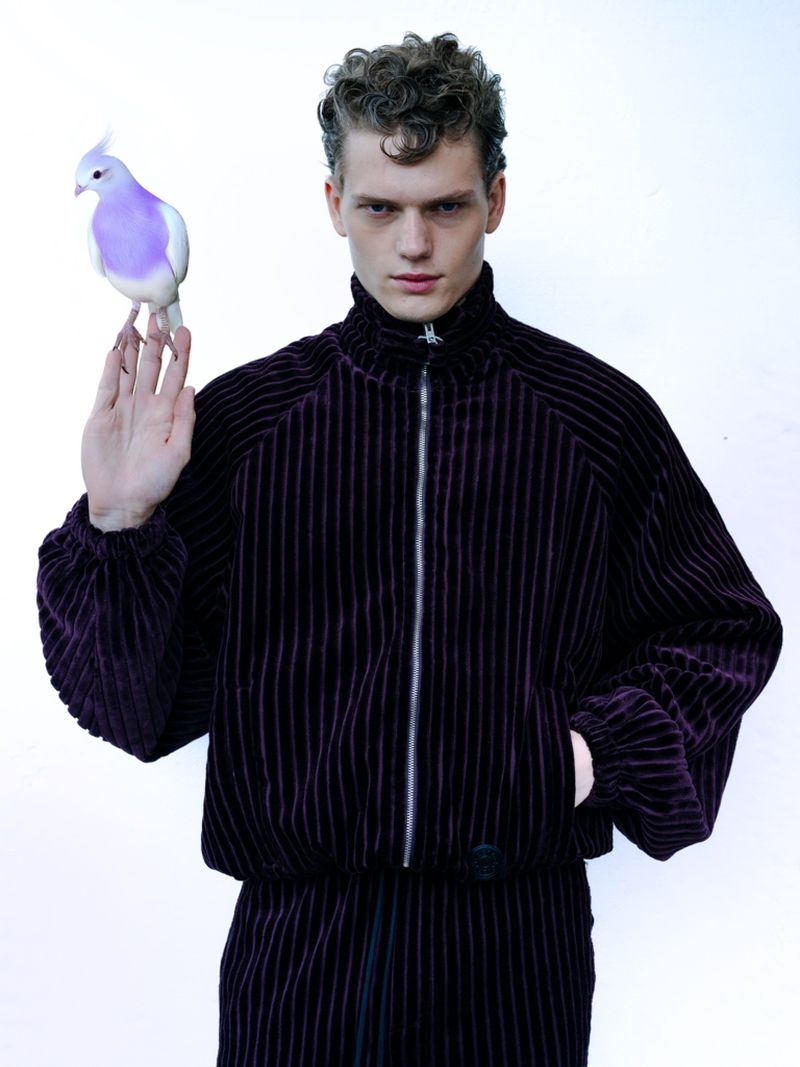 Adult male model poses indoors with a light-purple crested bird perched on his finger, wearing a purple velvet-striped jacket and pants.
