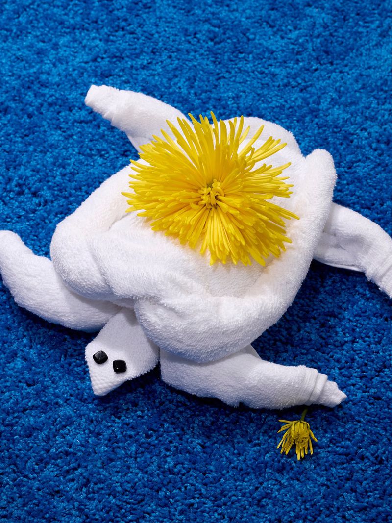 Towel art of a sea turtle on a blue carpet, with a yellow flower on top of the turtle. Tourism, travel, or spa service.