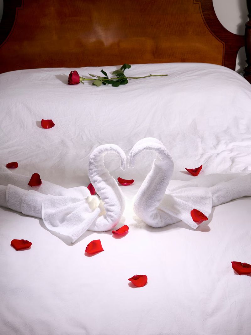 Bedroom romance with white swan towels, rose petals, and red rose on a white bed with a dark wood headboard. Focus on swans.