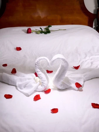 Bedroom romance with white swan towels, rose petals, and red rose on a white bed with a dark wood headboard. Focus on swans.