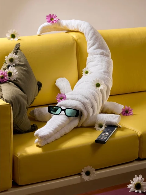 Towel Art