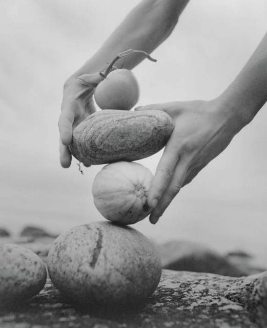 Photography Pauline Suzor