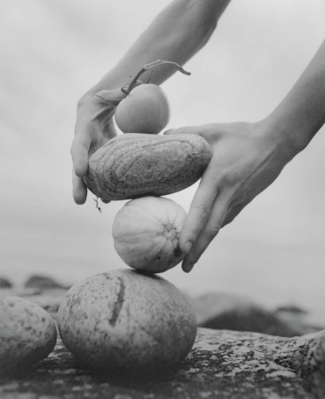 Photography Pauline Suzor