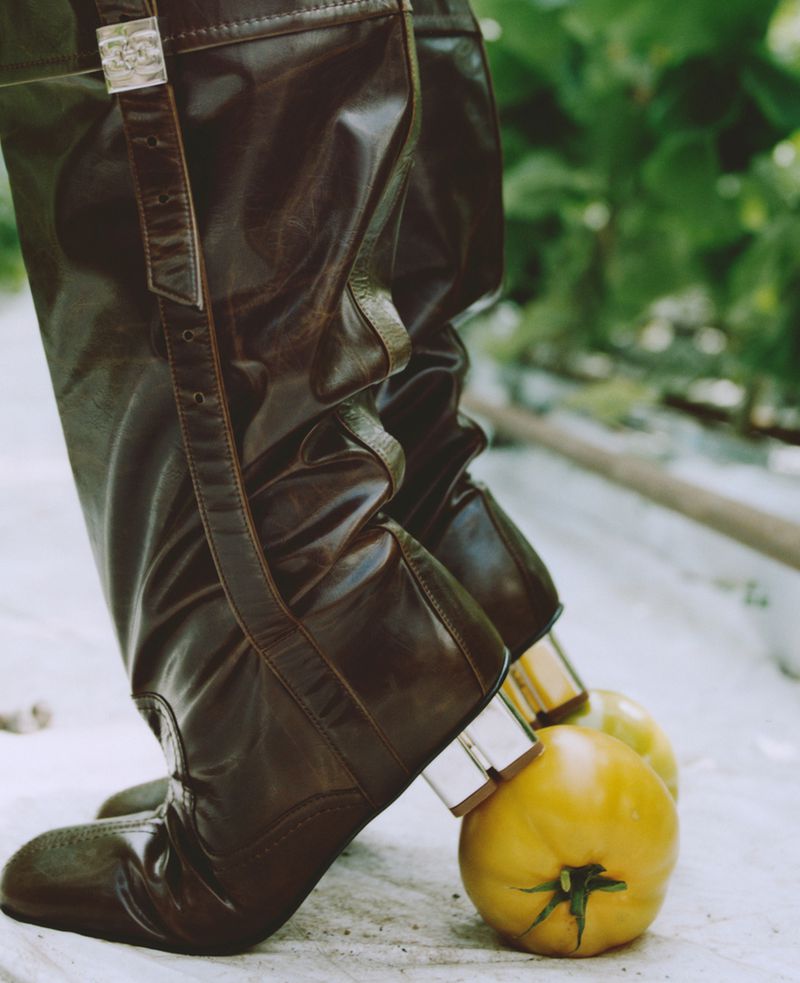 Close-up of brown leather boots with silver buckles, juxtaposed against ripe yellow tomatoes in a lush, green environment.