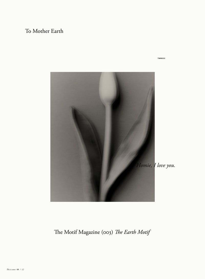 Close-up photograph of a white tulip flower with leaves against a gray background. Minimalist floral magazine cover. Earth Motif.