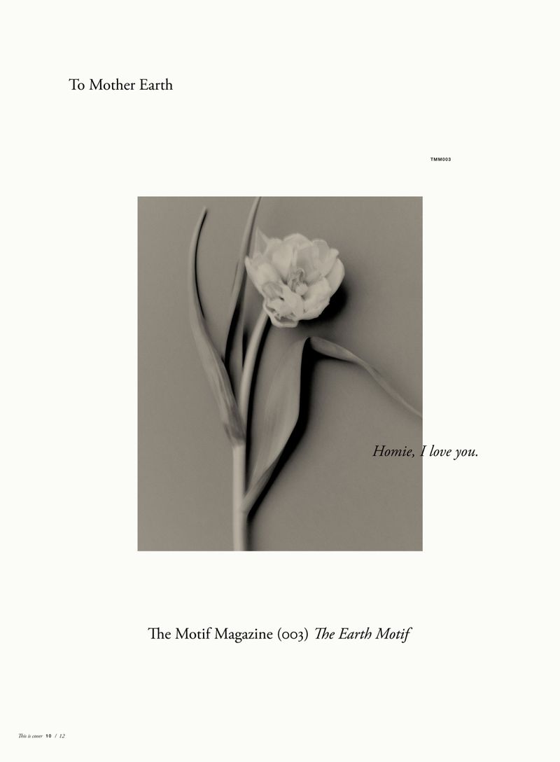 Flower in full bloom with stem and leaves on monochrome grey background. Neutral studio lighting, white text in upper corner.