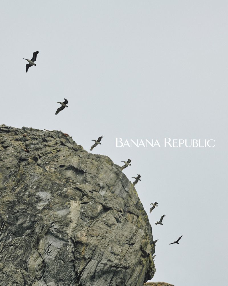 Birds in flight near a rock cliff with "Banana Republic" text overlay. The birds fly against a light grey sky in a nature scene.