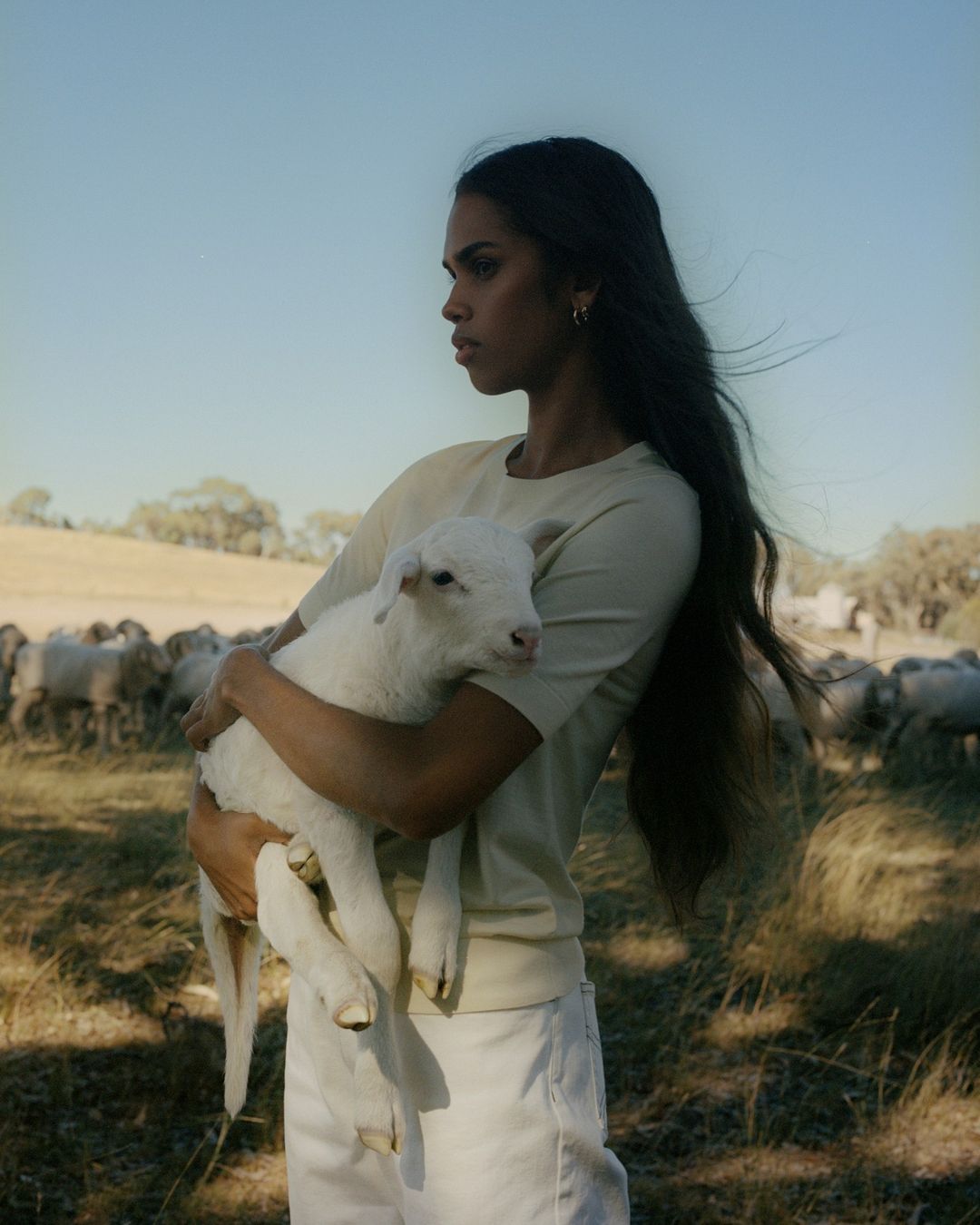 Young woman in a neutral-toned shirt holds a white lamb in a sunlit, grassy field with a flock of sheep in the background on a clear day.