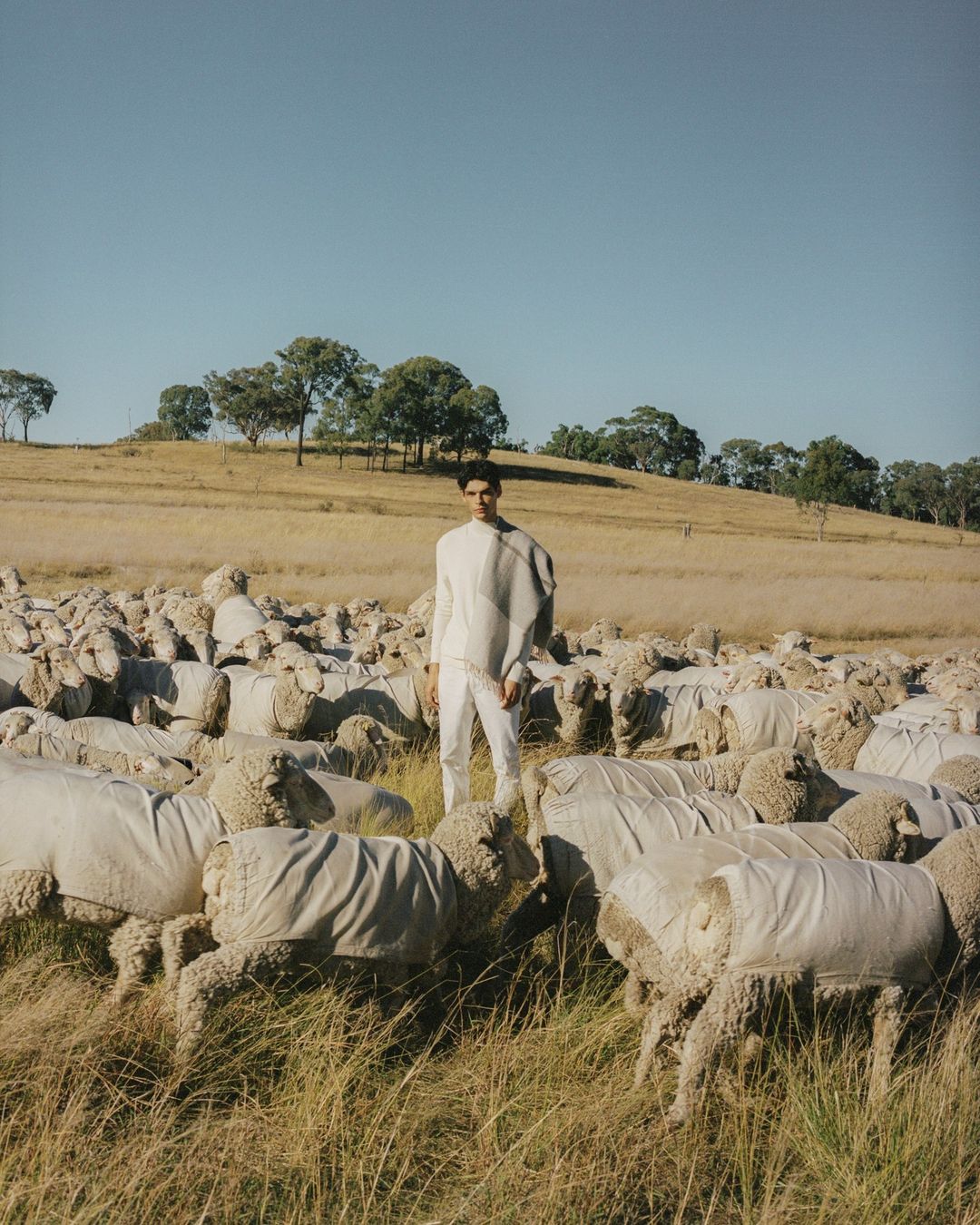 A male model stands in a field of sheep wearing a light-colored outfit against a background of a golden hillside and clear blue sky.