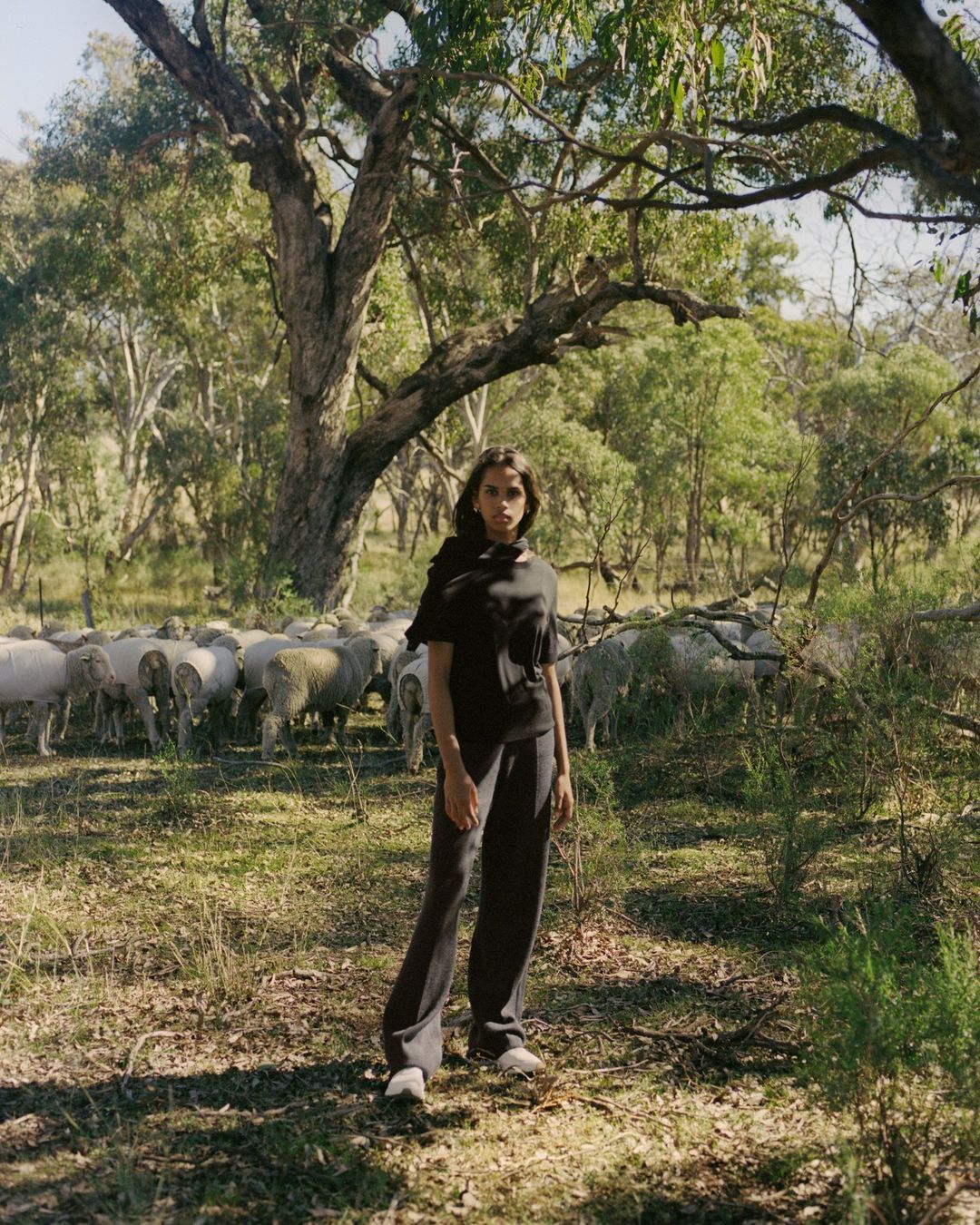 Woman in black stands in field with sheep and trees. Australian outback fashion shot. Medium shot, natural light, dark clothing.
