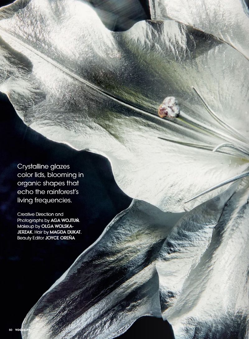 Close-up studio shot of a silver flower with a small brown accent at the center of the bloom, against a dark background. Floral still life.