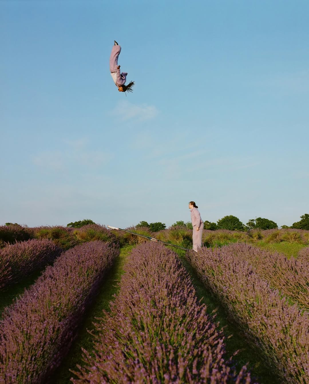 Two women in a lavender field, one jumping backwards against a blue sky, the other standing and watching on a sunny day.