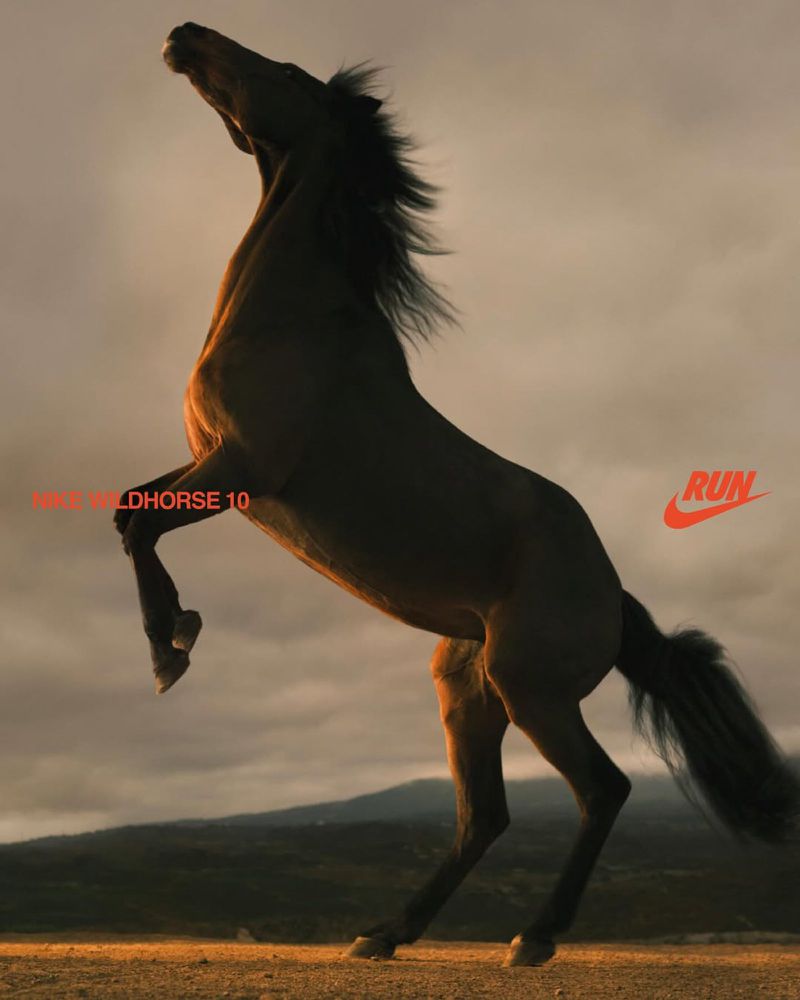 Dramatic shot of a rearing dark brown horse in a field at sunset, with Nike Wildhorse 10 and Nike Run logos visible.