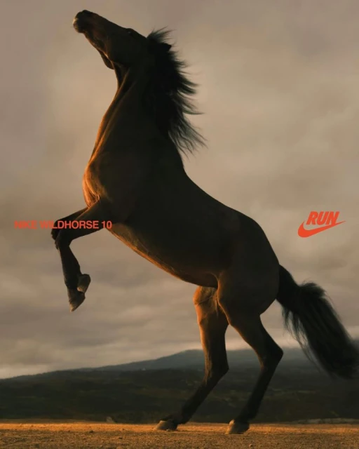 NIKE RUN WILDHORSE 10 & KIGER 10 CAMPAIGN