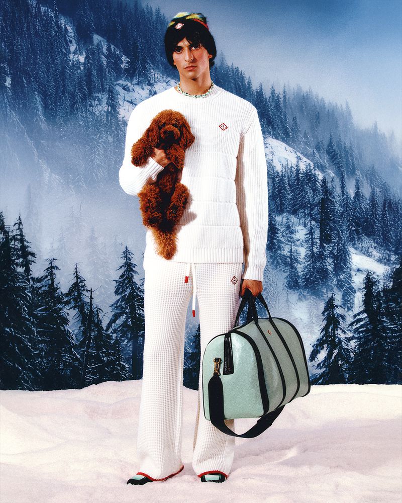 Fashionable adult male in snow-covered mountain landscape holds poodle puppy and a stylish duffel bag, wearing matching knitwear.