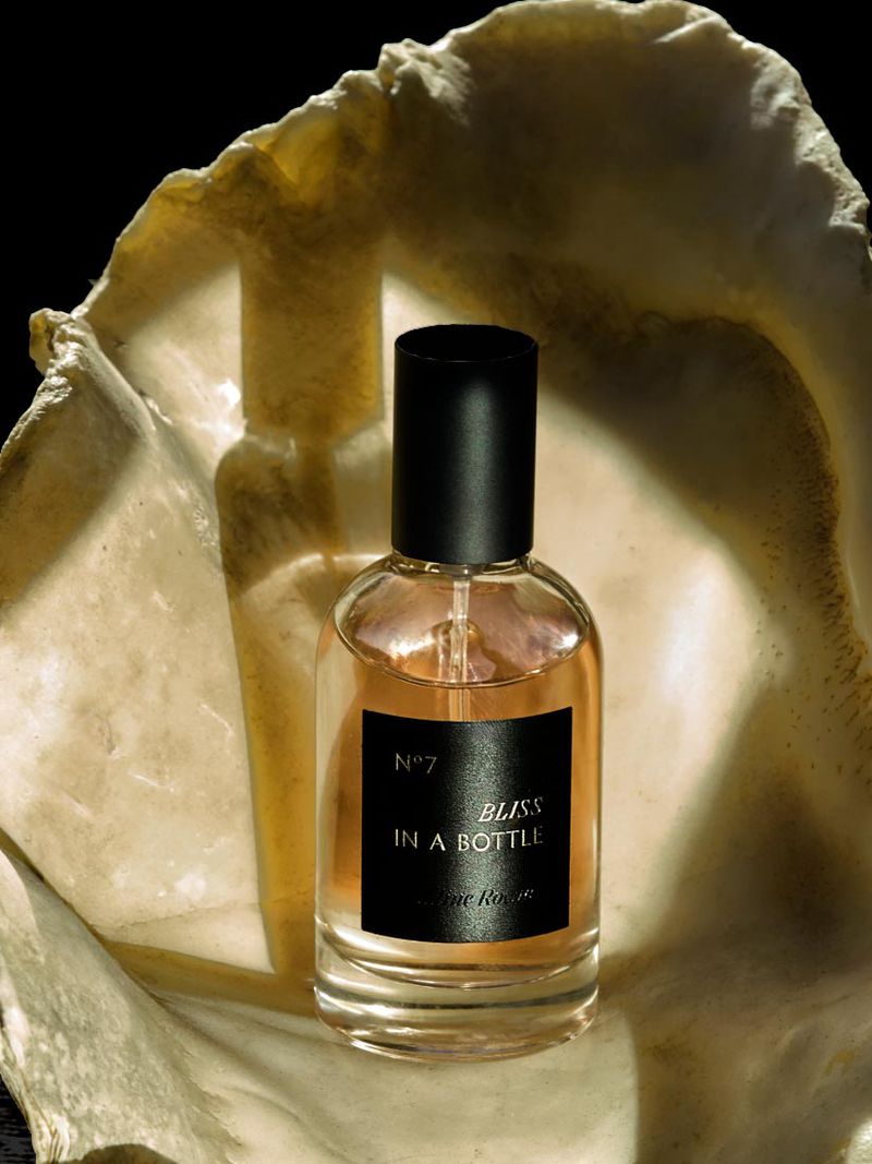 Close-up of a perfume bottle on a seashell, highlighting the bottle's label and the texture of the shell against a dark background.