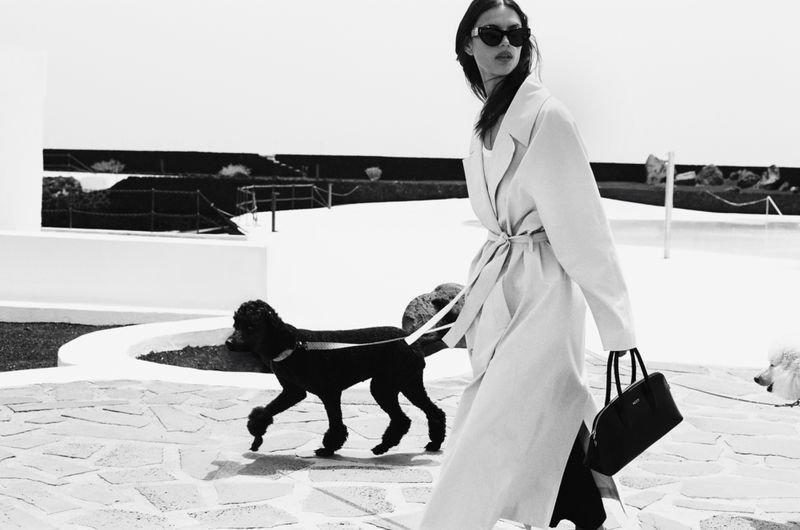 A woman in a trench coat walks two poodles on a leash on a stone path in a monochromatic outdoor scene with white walls and greenery.