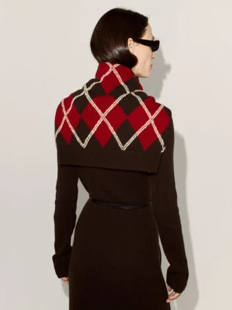 Model Sophie Koella seen from behind wearing a brown knit dress and red argyle shawl against an off-white background.