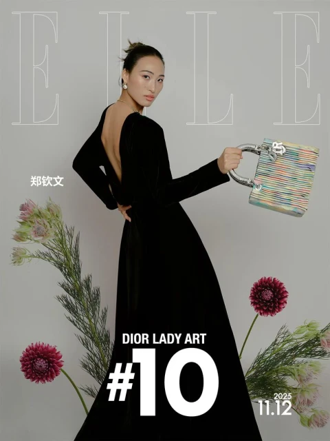 Dior Lady Art 10