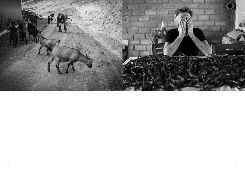Monochrome diptych shows a herd of goats on a dirt road and a man indoors covering his face over pile of dark objects on a table.