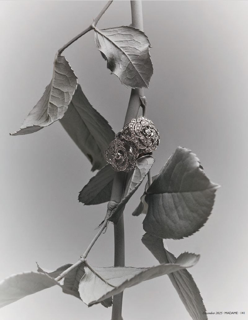 Still life in grayscale featuring a pair of ornate, vintage rings resting on a leafy stem, evoking a sense of timeless elegance.