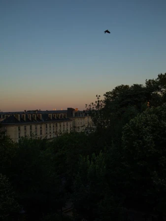 Bird in flight over Parisian buildings and trees at dusk, with a soft gradient sky, offering a serene and peaceful urban vista.