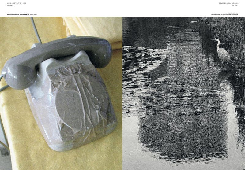 Two-panel image: a gray rotary telephone wrapped in plastic on yellow cloth contrasts with a heron in a grayscale river scene.