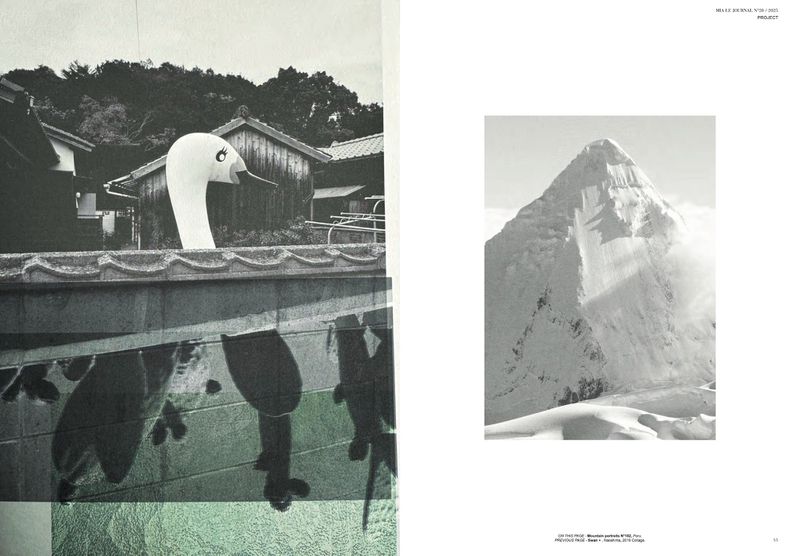 Black and white collage of an oversized swan head on a rooftop and a tall mountain with snow on the peak and base.