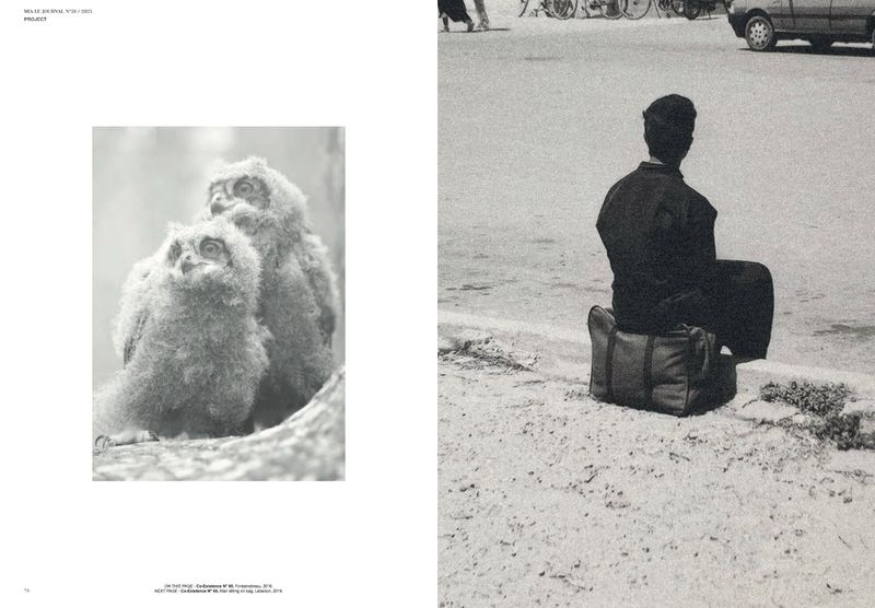 Monochrome image of two fluffy owlets perched on a branch, juxtaposed with a person sitting on a bag on a city street.