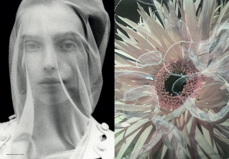 Monochrome art featuring an adult under a veil, side-by-side with an abstract flower photo illustration. Soft lighting and dark backgrounds.