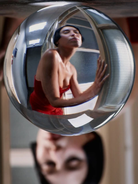 Iris Law
